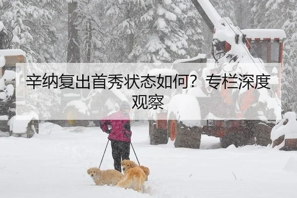 辛纳复出首秀状态如何？专栏深度观察（hth）