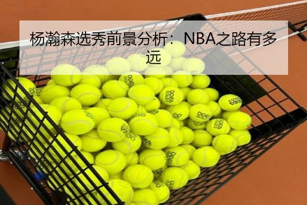 杨瀚森选秀前景分析：NBA之路有多远